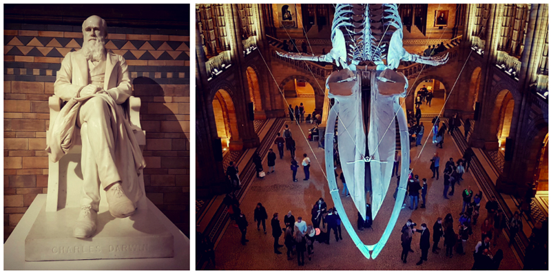 Natural history museum