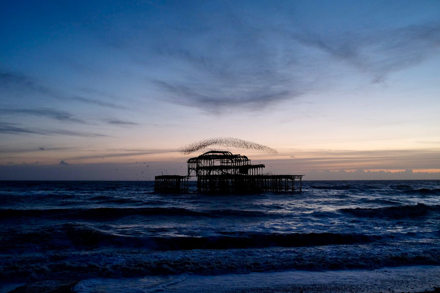 Brighton West Pier