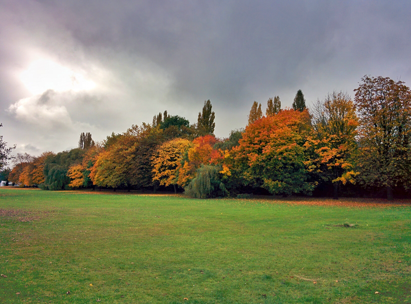 Hearsall Common