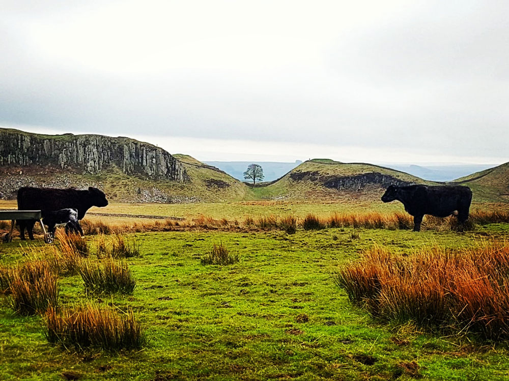 HADRIAN’S WALL