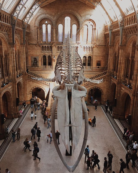 Natural History Museum