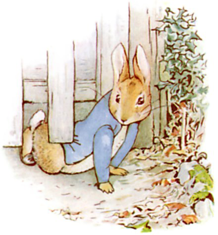 Peter Rabbit