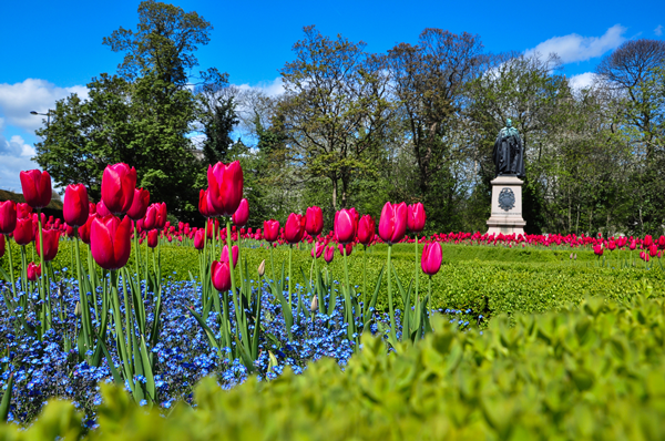 Bute Park