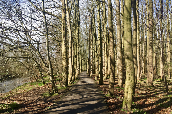 Glasgow Pollok Park