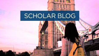 Scholar blog - bridges that caught my eye