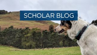 Scholar blog - animals that stole my heart