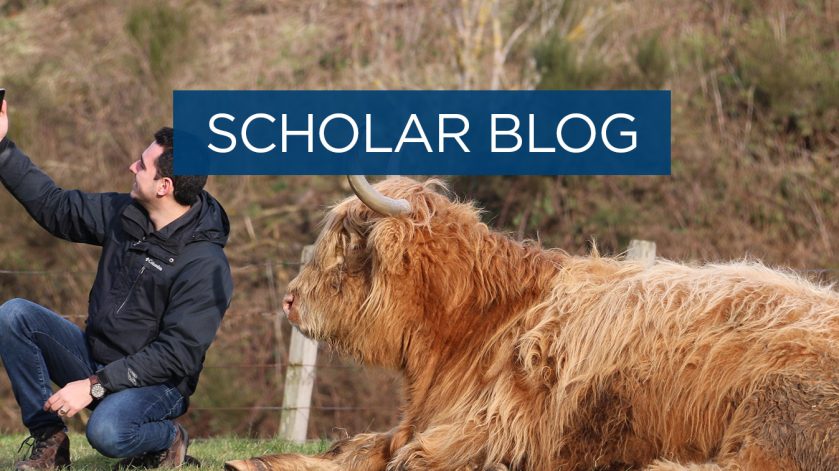 Scholar blog: Animals that stole my heart - Highlands Cow edition