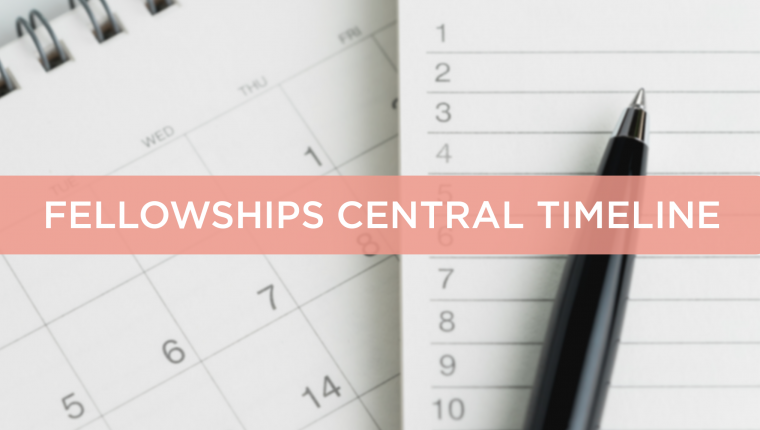 Chevening Fellowships central timeline