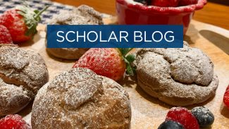 scholar blog