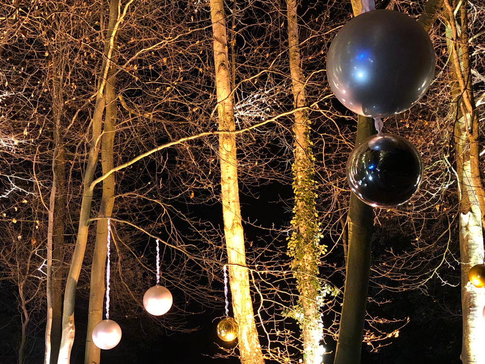 Christmas Lights at Blenheim Palace! Chevening