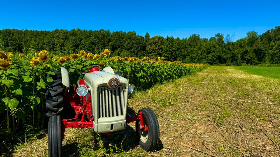 Red tractor and field